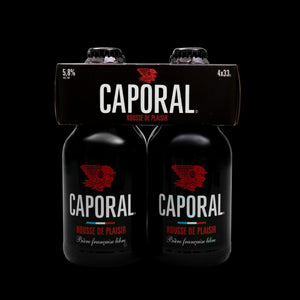 CARTON 4 BOUTEILLES 33CL BIERE ROUSSE DE PLAISIR ALC: 5,8%