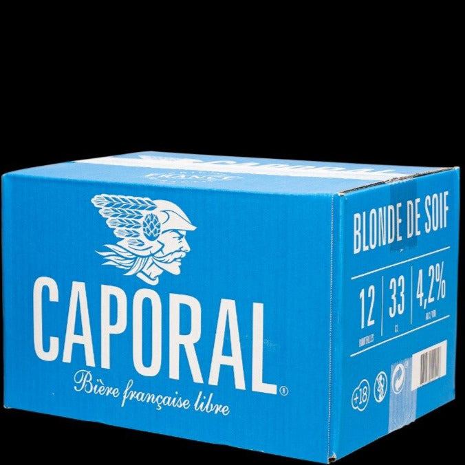 CARTON 12 BOUTEILLES 33CL BIERE BLONDE DE SOIF ALC: 4,2%
